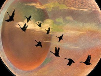 Меньше всего литовцев эмигрирует в Россию, Швецию и США

                                                                 - Литва и страны Балтии