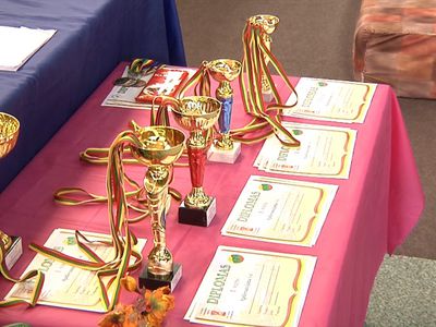 В Висагинасе состоялся чемпионат по прыжкам на батуте - В Висагинасе