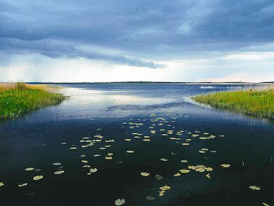 Заповедник Жувинтас включен во Всемирную сеть ЮНЕСКО - Хобби, отдых и развлечения
