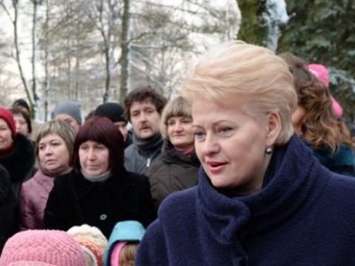 Президент Литвы подписала Закон о развитии неправительственных организаций (НПО) - Литва и страны Балтии