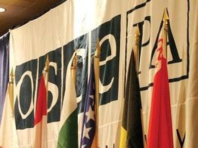 Как стать «дураком» в Литве? - Литва и страны Балтии