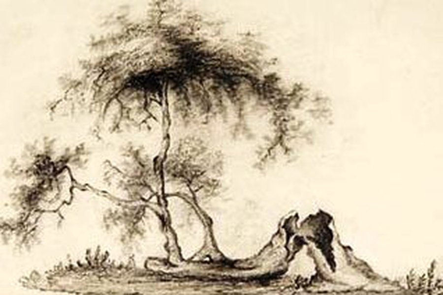 Британское королевское общество обнародовало оригинал истории про Ньютона и яблоко - Культурные и спортивные мероприятия