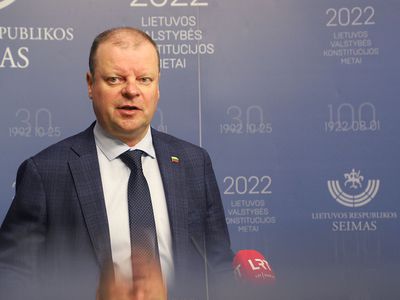 С. Сквернялис: консерваторы мелют языком и ищут вину других - Литва и страны Балтии