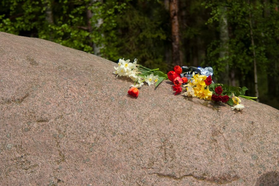 Пока память жива - В Висагинасе