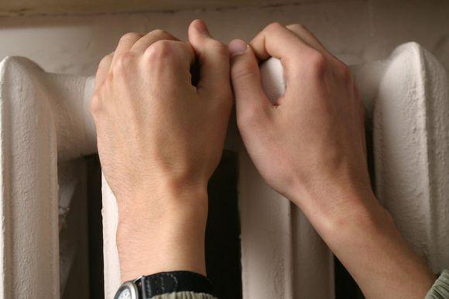 Отопительный сезон в Прибалтике: Зерно вместо дров в Литве, «зеленое золото» Латвии и «ядерная» зима в Эстонии                                         - Энергетика