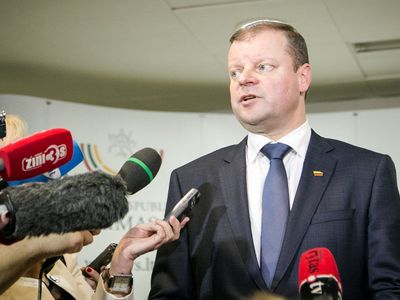 Премьер: если надо добавку жены декларировать дополнительно - сделаем - Литва и страны Балтии