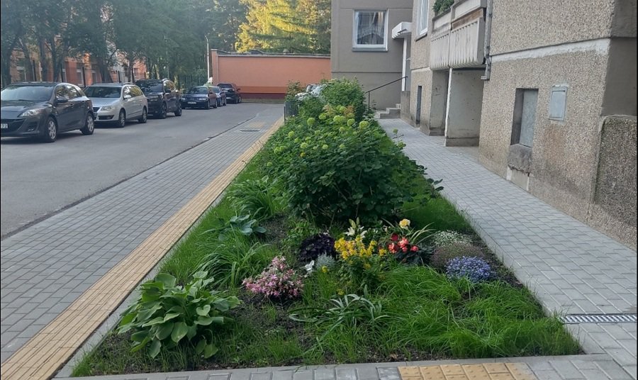 Statybininkų g. 5 namo gyventojai dėkoja už gerą darbą - Visagine