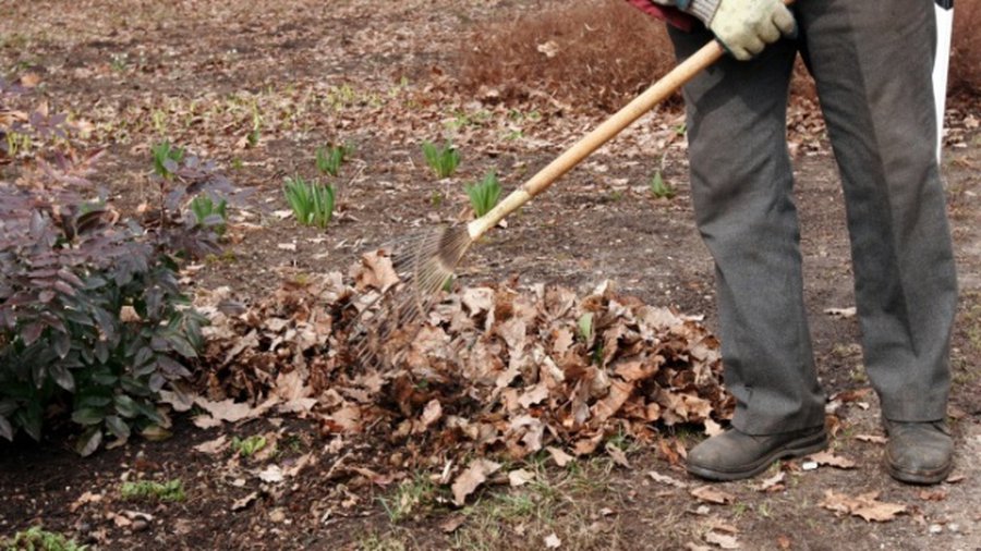 За уборку территорий вокруг многоквартирных домов будут платить дважды? - Литва и страны Балтии