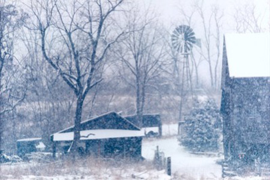 Ciklonas į Lietuvą atneš sniegą, vėją ir pūgas - Lietuva ir Baltijos šalys
