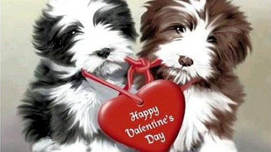 Интернет захлестнула волна фальшивых поздравлений ко Дню святого Валентина - IT новости