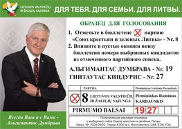 Светлана Бабуева: «Надеюсь, что новое правящее большинство Сейма займется решением проблем Висагинаса!»