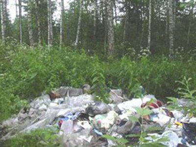 Освободим Литву от мусора!  - Литва и страны Балтии