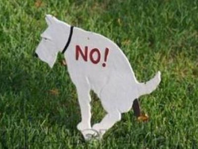 Снег тает, а под снегом ... Как быть? - В Висагинасе