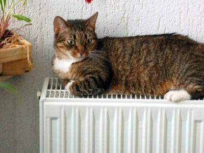 Nustatyta šildymo sezono pradžia - Visagine