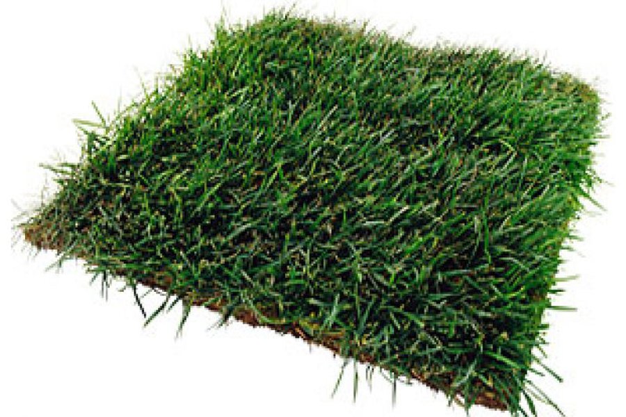 Поправки в закон «О земле» Литвы ущемляют права землевладельцев - Литва и страны Балтии