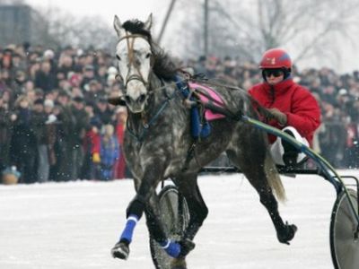Sartų lenktynėms jau ruošiamas ledas - Lietuva ir Baltijos šalys