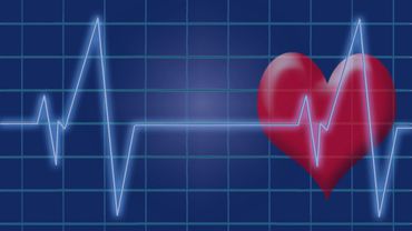ВОЗ: продолжительный рабочий день – причина роста смертности в результате болезней сердца и инсульта