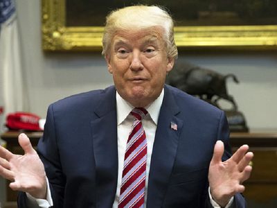 Трамп: подозреваемый в теракте в Нью-Йорке попал в США, выиграв в визовую лотерею - В Мире