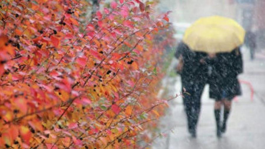 Погода: ненадолго вернется осеннее тепло и осадки - Литва и страны Балтии