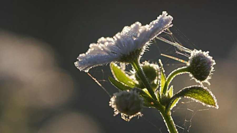 Прогноз: ненадолго придет прохлада - Литва и страны Балтии