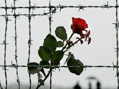 Сегодня в мире отмечается День освобождения узников фашистских концлагерей                                - В Мире