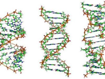 Найден способ избежать передачи генетических заболеваний по наследству  - Наука и здоровье