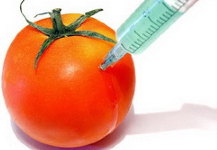 Lietuvoje genetiškai modifikuoti organizmai ir toliau vertinami prieštaringai 
 - Lietuva ir Baltijos šalys