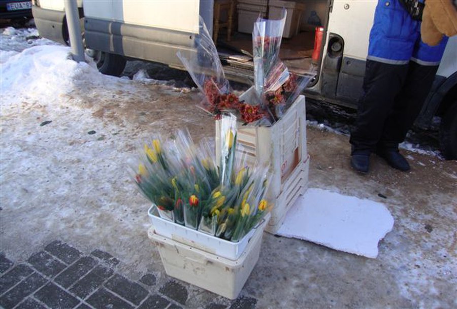 День женской солидарности или испытаний для мужчин?
 - В Висагинасе