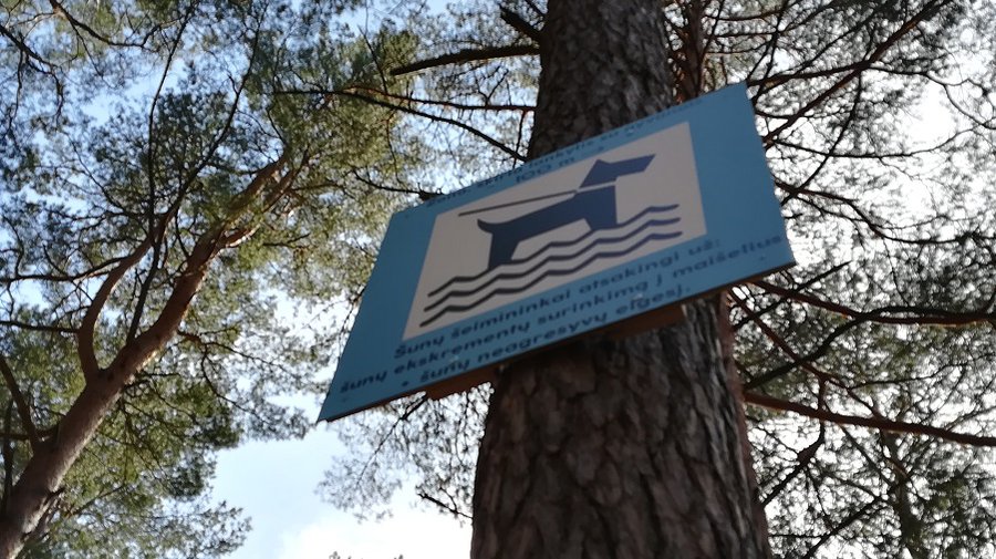 Место для купания собак выбрано. Довольны не все - В Висагинасе