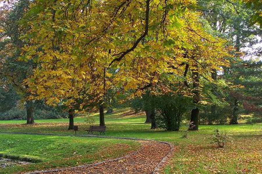 «Бабье лето» кончилось, в Литву возвращается суровая осень - Хобби, отдых и развлечения