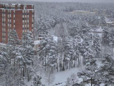 ЧП висагинского масштаба (уточнено)                                                                                                                    - В Висагинасе