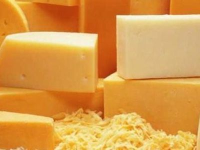 Латыши недовольны качеством литовских сыров - Литва и страны Балтии