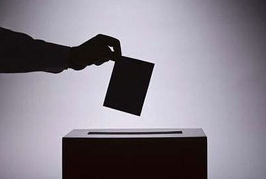 На выборах в самоуправления Литвы зарегистрировано рекордное количество кандидатов

