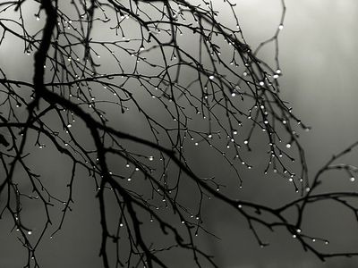 Прогноз: в Литве после выходных ожидается небольшой мороз - Литва и страны Балтии