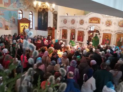 Висагинские православные отмечают Вербное воскресенье (фотогалерея) - В Висагинасе