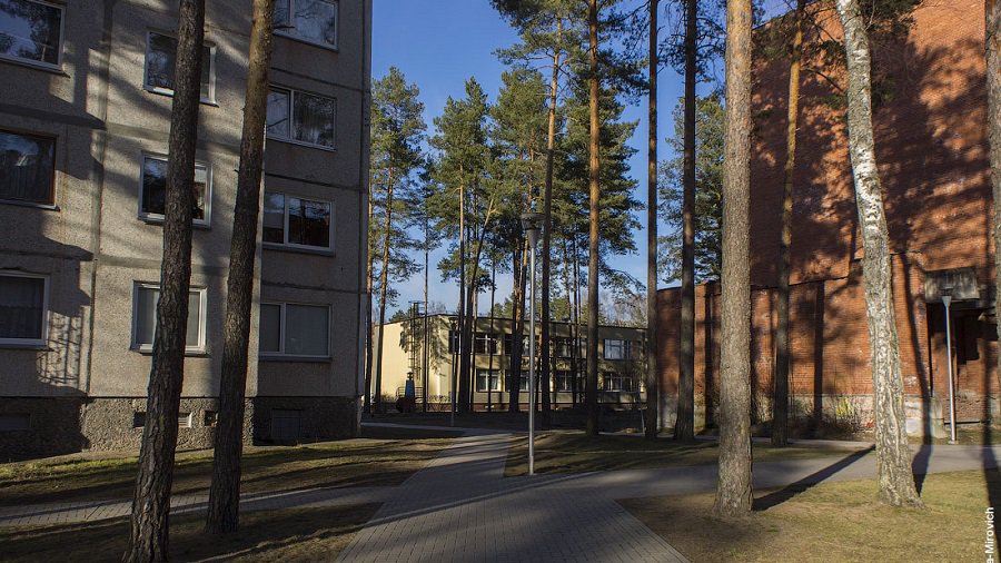 Хотите срубить дерево у подъезда? Соберите подписи соседей! - В Висагинасе