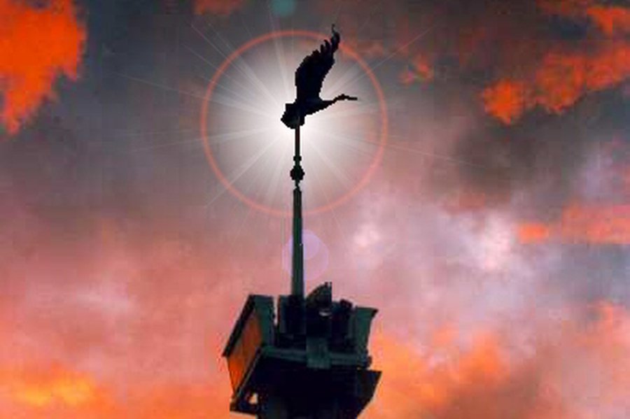 Выбраны лучшие из лучших                                 - В Висагинасе