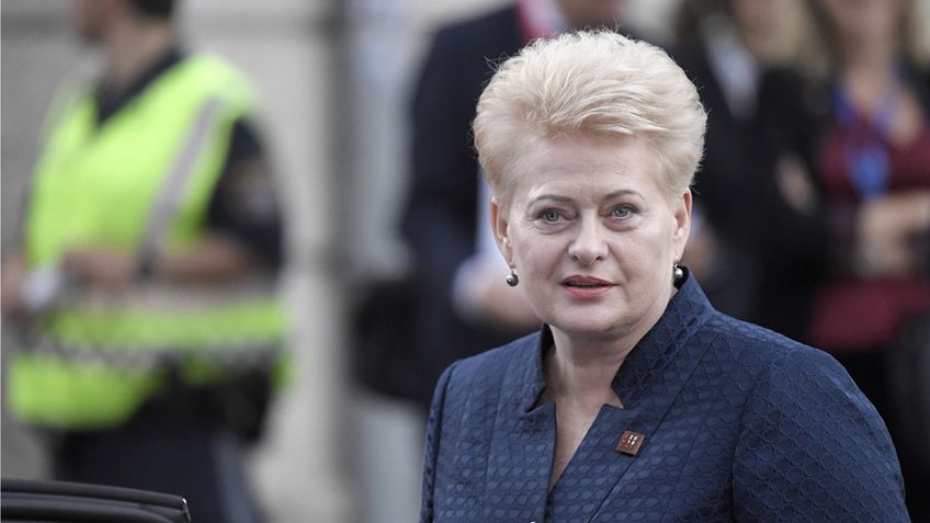 D. Grybauskaitė, prieš išvykdama į Vadovų Tarybą