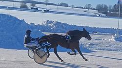 Рысистые конные бега «Сартай 2026» (видео)