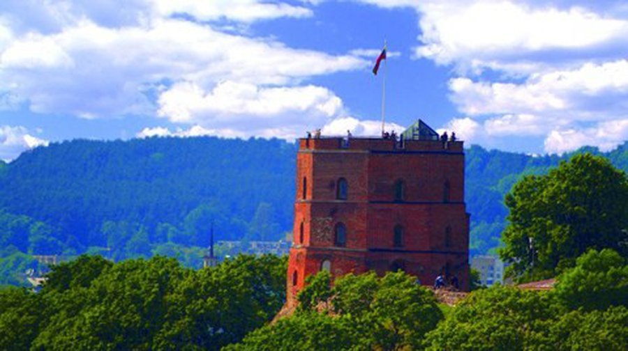 Литовские пожарные показали плохое знание государственного языка - Литва и страны Балтии