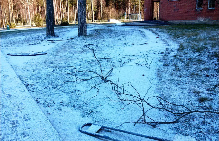 Директор администрации – об актуальных для жителей вопросах (видео) - В Висагинасе