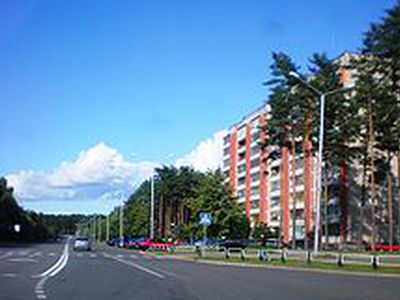 Висагинцы приглашаются на уже ставший традицией всеобщий весенний субботник - В Висагинасе