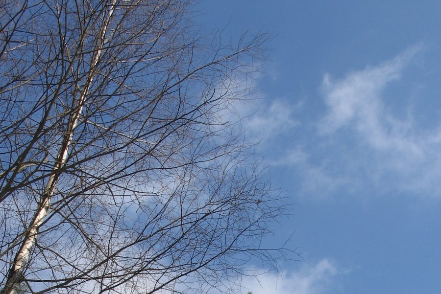 В первой половине недели будет без осадков и солнечно - Литва и страны Балтии