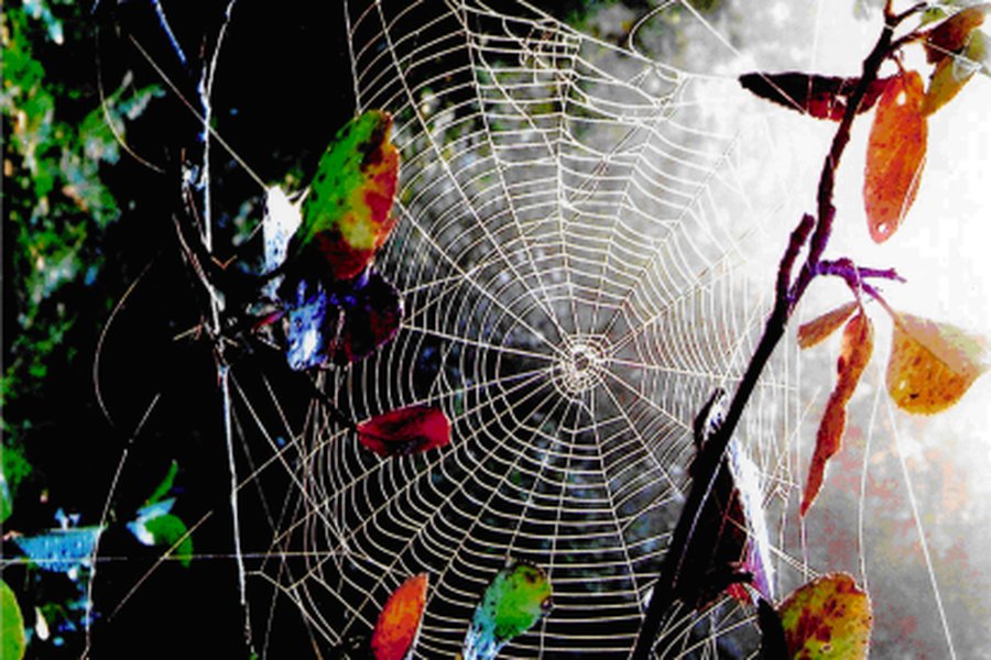 Приглашаем посетить  выставки                                                 - В Висагинасе