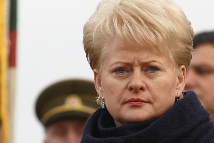 Президент Литвы: У наших границ концентрируются войска                                 - Литва и страны Балтии