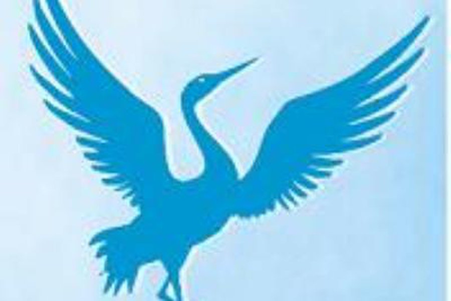 XVII tarptautinis šokių festivalis \"Gervė 2011\"  - Visagine