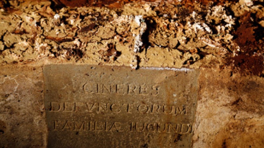 Ученые вскрыли семейный склеп Моны Лизы - Наука и здоровье