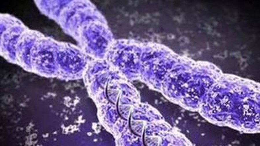 Такая вот история с географией... - Наука и здоровье