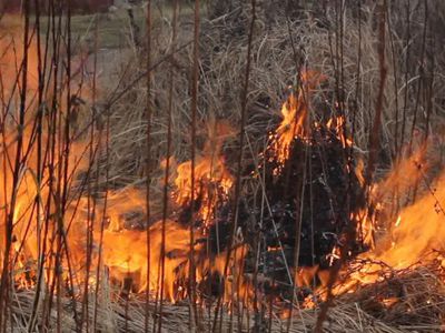 Горящая трава – опасность! - В Висагинасе