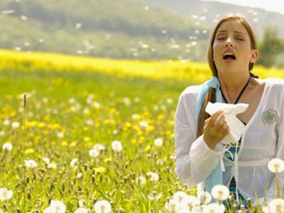 Аллергия на пыльцу: отдаленные последствия - Наука и здоровье